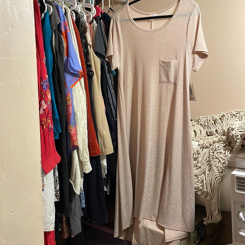 Sparkly silvery/nude colored Lularoe dress